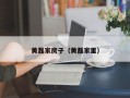 黄磊家房子（黄磊家里）